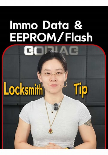 Understanding EEPROM and Flash in Vehicle IMMO Systems