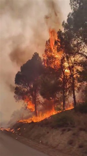 Tragédie en Kabylie : Les incendies lèchent les portes de nos villages #Incendies