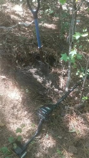 what the heck! #bottles #bottle #bottledigging #metaldetecting #whattheheck #historytok #History #lucky #charleston #southcarolina #finds #treasure #garrettmetaldetectors #huntingforadventure #america | Hunting forad venture