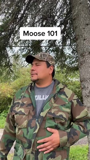 Moose 101: Understanding Moose Identification in Nature