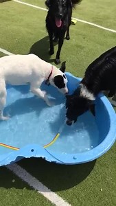 2.3K views · 62 reactions | Paddling pools are a fantastic was to...