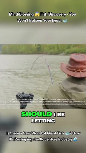 Fishing Adventure: Discovering a Massive River Fish