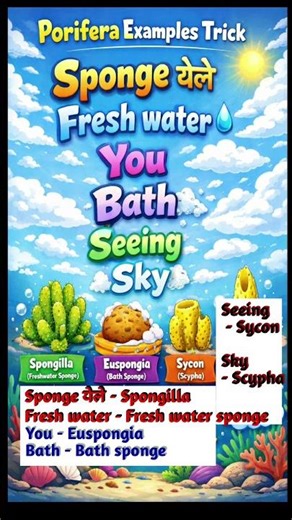 Porifera Examples Trick | NEET Biology | NCERT Biology || #education #neet #biology #shorts