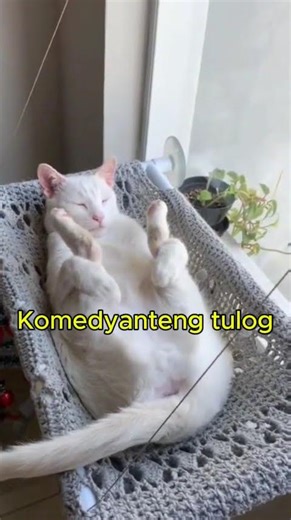 Lithotomy position yan, ming?