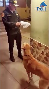 2.5M views · 161K reactions | Policía le compra un pollito a perrito...