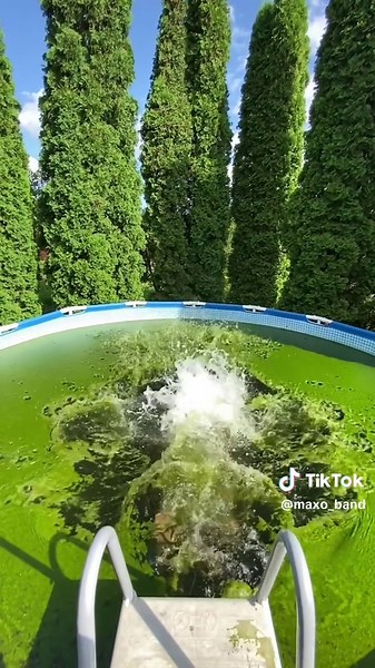 Купательный сезон в бассейне: летние радости