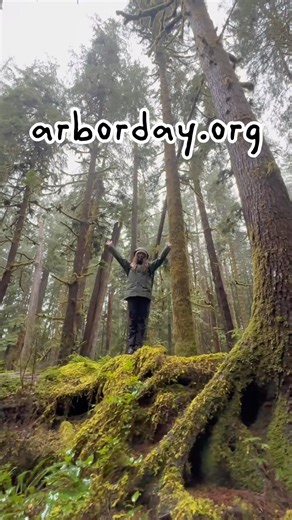 Forests aren’t just trees, they’re beaming with biodiversity! 🌲🐻🦉
