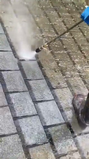 Close-Up Mossy Roof Cleaning 🔍🏠 Watch Every Shingle Come Clean #roofcleaning #satisfying #softwash