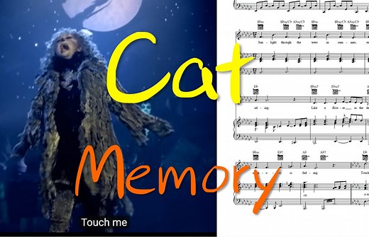 音乐剧原声：Memory-猫（曲谱同步）_哔哩哔哩_bilibili