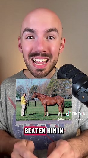 Secretariat: The Greatest Horse of All Time