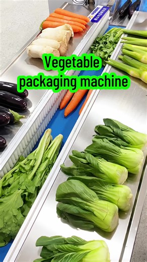 Efficient Vegetable Packaging Machine for Modern Farms