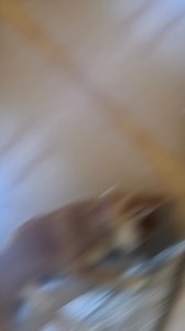 4.8K views · 16 reactions | Need an apartment fast? Apartment List helps you quickly sort, save, and compare listings so you can find the best option in no time. | Apartment List | Facebook