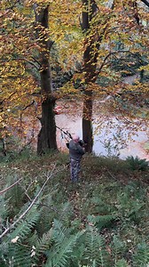 The man in the woods | Gareth Wyn Jones