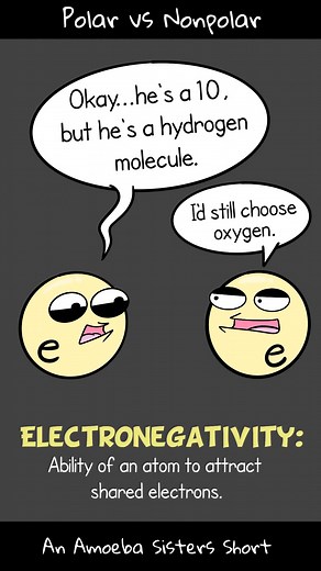 #amoebasisters take a look at what