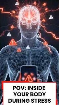 POV: Inside Your Body During Stress | Human Anatomy (What Really Happen)
