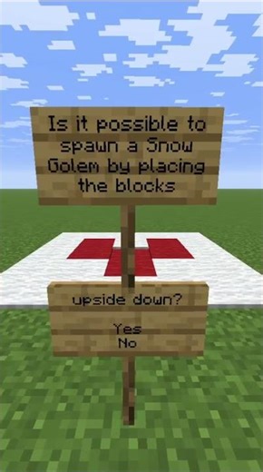 #nicelife #minecraft #lifeseries Snow Golem Questions