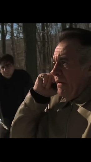 He was an interior decorator - Paulie Walnuts #mafia #sopranos #funnymoments #cosanostra