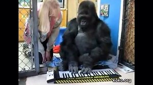 The Debate is over. The TRUE king of R&B is the Gerald The Gorilla. | Tony Baker