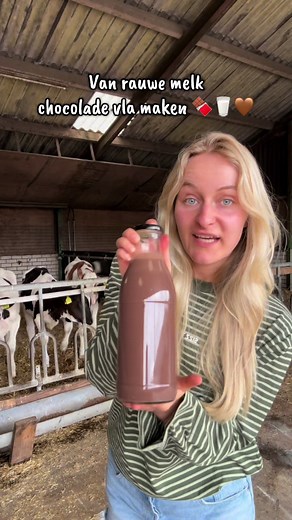 Chocolade vla maken van rauwe melk — eenvoudig recept