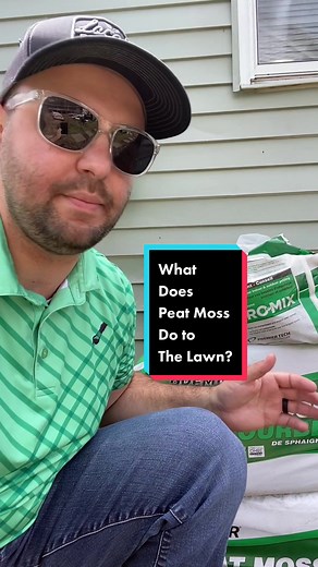 The Benefits of Peat Moss on Your Lawn: Lawn Care Tips