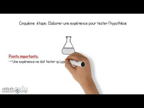 La démarche d'investigation scientifique