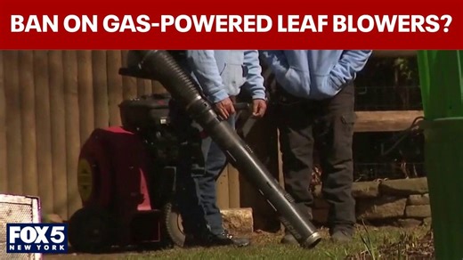 Proposal to ban gas-powered leaf blowers
