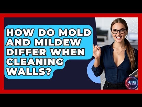 How Do Mold And Mildew Differ When Cleaning Walls? - Get Rid Of Guide