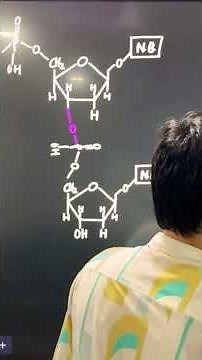 Nucleic Acid | Nucleotide | Polynucleotide chain | DNA/RNA #nucleotide #dna #nucleicacids #shorts