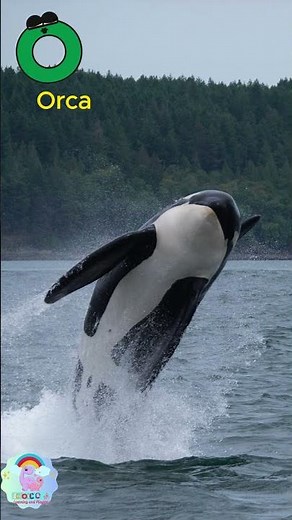 ABC Animals Song for Kids! 🎶 Learn ABCs with Cute Creatures #abcd #animals #animals #alphabetsong