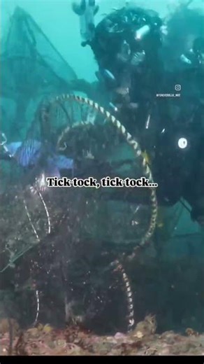 바다속 시간은 빨리 흐른다. 다아빙 제한시간 30분, 빠른 판단과 기민한 손놀림, Non-verval teamwork! #해양정화 #oceancleaning #ghostnet