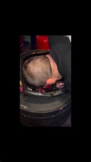 Bess of Hardwick on Reels