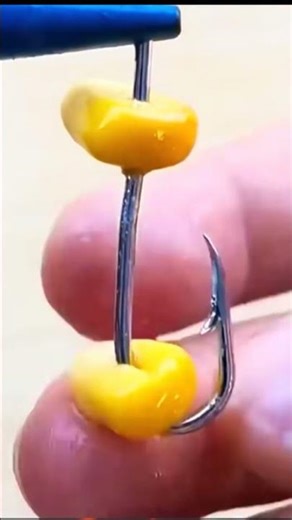 Jeito Correto de Iscar Milho no Anzol