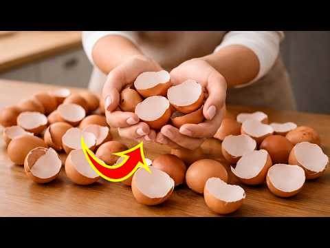 💡52 Useful Tips And Tricks That Work Extremely Well| TH Kreativ