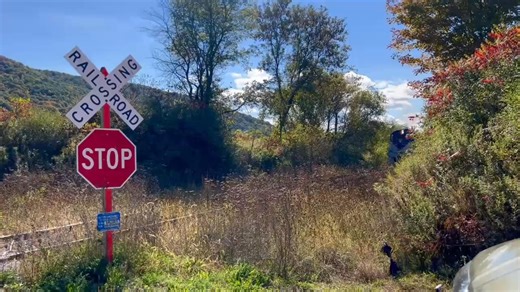 SNEX RS36 5012 & RS-1 3501 ( AKA) Buttercup lead a morning northbound near Brownell Rd in Cambridge New York on October 3,2024 The upcoming book features of plethora of seasonal imagery from throughout the Cambridge Valley over the past 50 years. ￼ In her blue and gray lightning stripe paint, the lead unit resembles similar Alco models operated here on the former Washington Branch of the Delaware in Hudson until the line was embargoed in November of 1981. | Batten Kill Book