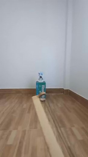 100% cardboard slingshot #shorts #slingshot #reels | Lashaya Curtis