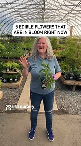 31 reactions · 4 comments | Here are 5 edible flowers that you can...