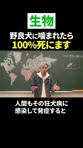 It's best not to touch stray dogs overseas. #shorts #justadayobi #dog #living