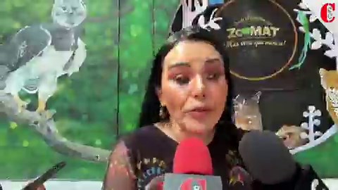 ¡EL COLMO DEL CINISMO! 💀💰Escándalo de morenista en la @SEP_mx Mientras tú trabajas, la 4T le paga a los muertos. Se descubre que la exsecretaria de Educación de Chiapas, Rosa Aidé Domínguez Ochoa, desvió $35 MILLONES de pesos a nóminas de fallecidos.¿Justicia social o saqueo descarado?⚠️ La ASF y la Secretaría Anticorrupción ya confirmaron el desfalco. ¡No es error, es corrupción!#Corrupción4T #SEP #Chiapas #MorenaNoCumple