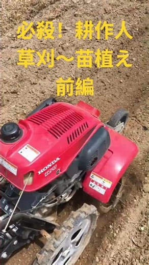 必殺耕作人 草刈 → 土作り →苗植え 編 🧑‍🌾畑 菜園 ホンダ FF300 GX31 GX25 刈払機 UMK425 UMK431 耕運機 #必殺 #家庭菜園 #農業
