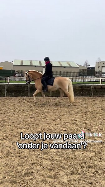 Boost je training: Leer paardrijden met plezier!