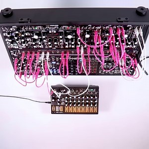 0-CTRL or René? Why not both? The 0-CTRL and René are both sequencers full of unique approaches. The 0-CTRL's all-analog design allows for audio-rate modulation, dynamic gates and pressure-based CV. René is a proudly digital, three-dimensional cartesian sequencer with three distinct channels with pages of customizable programming options. The XPO, our stereo analog oscillator, has two v/oct inputs. What would happen if we patched the 0-CTRL into one and René into the other? Wonder no more! Here,