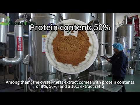 Premium Oyster Extract Powder | Global Supply for Food & Nutraceutical Brands