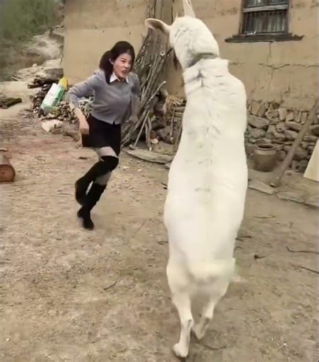 The GOAT Won. I'm Embarrassed