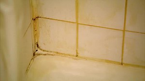 Limpiadores Compulsivos: EP 1 T1 (LATINO) | Limpiadores Compulsivos - Capitulos Completos