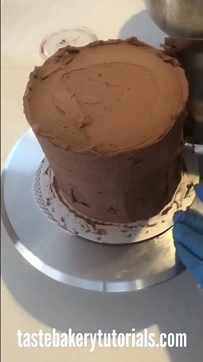 Satisfying Cake Time Lapse - Chocolate Cake - Cute Walrus Cake | TASTE BAKERY #shorts