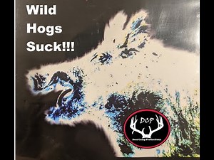Wild Hogs Suck! The Best Method to Remove Wild Hogs!
