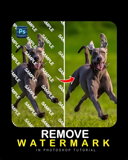 Graphic Designer on Instagram: "How To Remove Watermarks From Any Image In Adobe Photoshop @graphicinfluence01"
