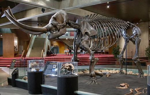 Everything You Need To Know About Visiting The Ohio History Center