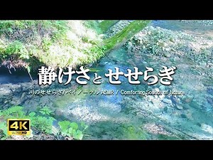 静けさとせせらぎ 湧水の流れる川：睡眠前のリラクゼーション 自立神経を整える【自然音,ASMR,立体音響,4K,relaxing nature sounds】