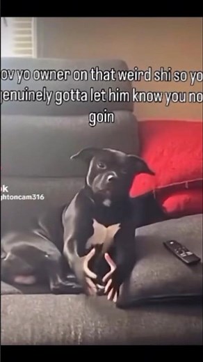 don't grab me if you grab me I'm bite you #viral #funny #angakingawitaypagibig #trending #comedy